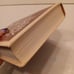THE NIV TOPICAL STUDY BIBLE: NEW INTERNATIONAL VERSION By Zondervan Red Letter