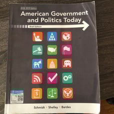 American government and politics today