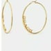 COACH 14k GOLD PLATED HOOP EARRINGS