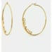 COACH 14k GOLD PLATED HOOP EARRINGS