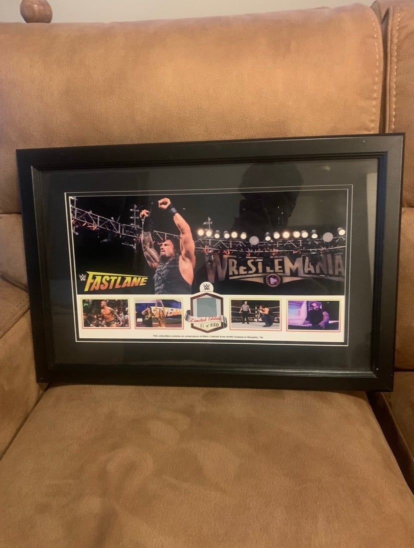 WWE Fastlane 2015 event plaque w ring canvas collectable Roman Reigns