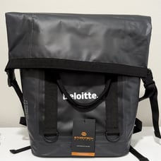 Deloitte. stormtech saturna 24 cooler bag cfr-1 Backpack