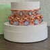 Dreaming in waves bomb party stack 2025