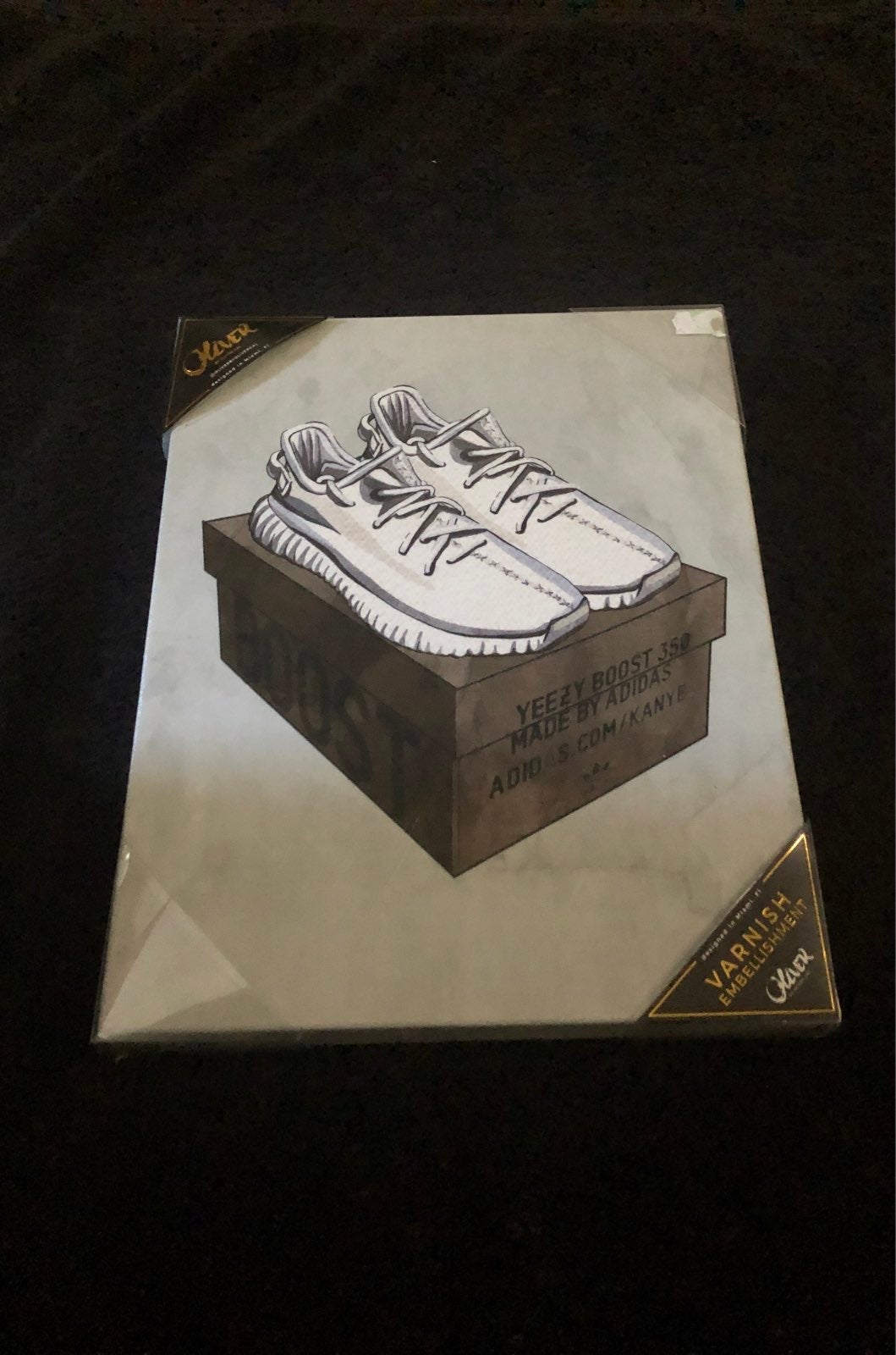 Yeezy Boost 350 Canvas Print
