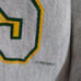 Vntg NFL Adult Green Bay Packers Reverse Weave Champion Crew Neck Sweatshirt