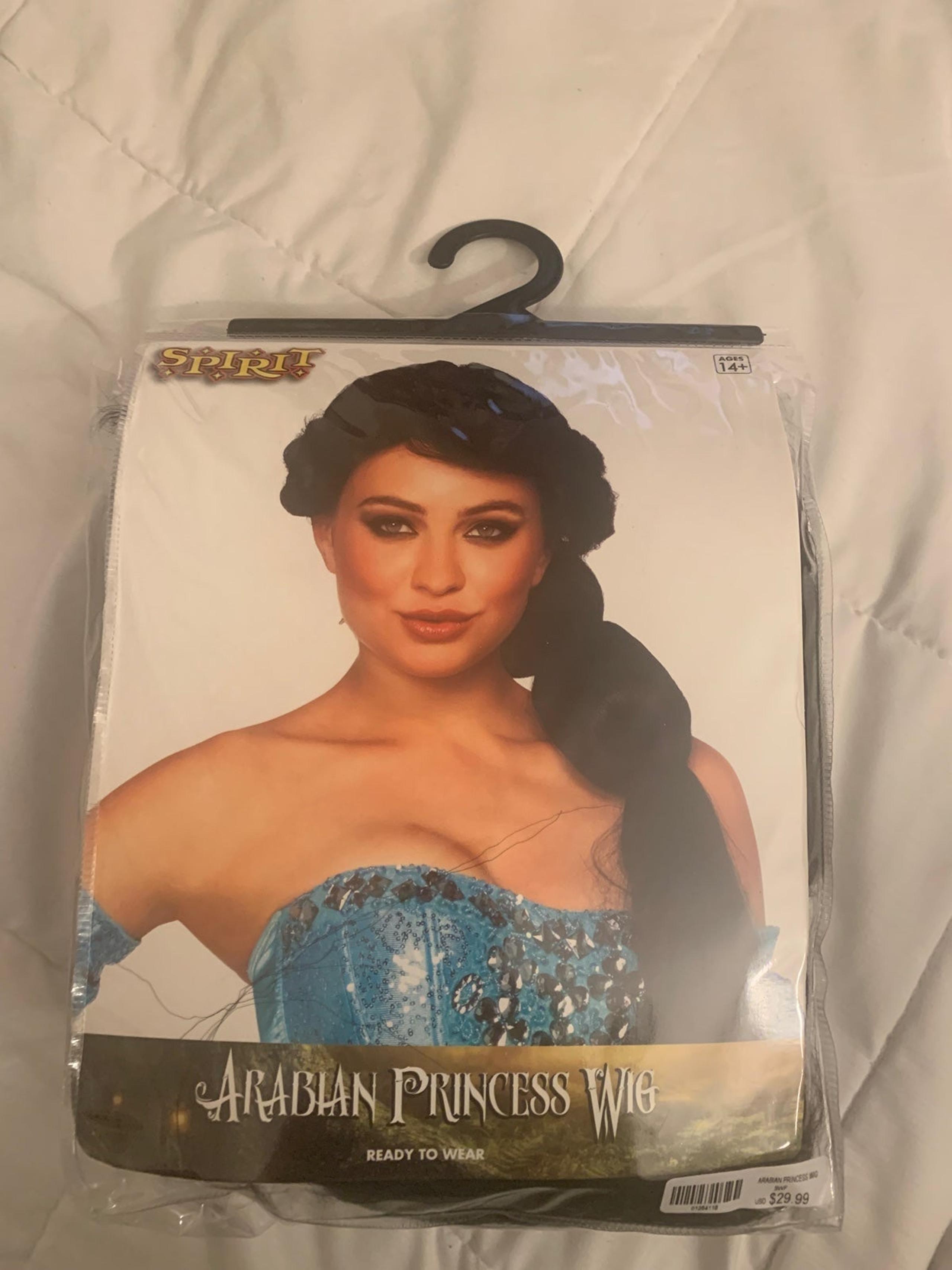 Princess Jasmine Arabian Beauty Wig Costume