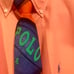 Polo by Ralph Lauren Tie