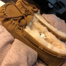 UGG Slipper