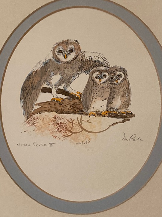 1970s Vintage M. Cole Signed & Numbered Owl Art Print Under Cover II
