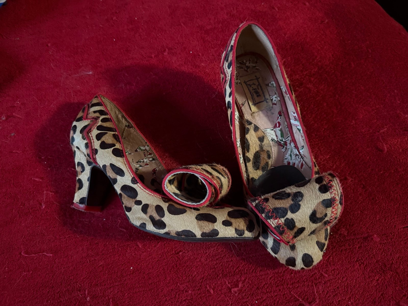 Leopard Miss L Fire
