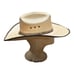 Cody James Cowboy Hat Size 7 Beige Brown