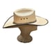 Cody James Cowboy Hat Size 7 Beige Brown