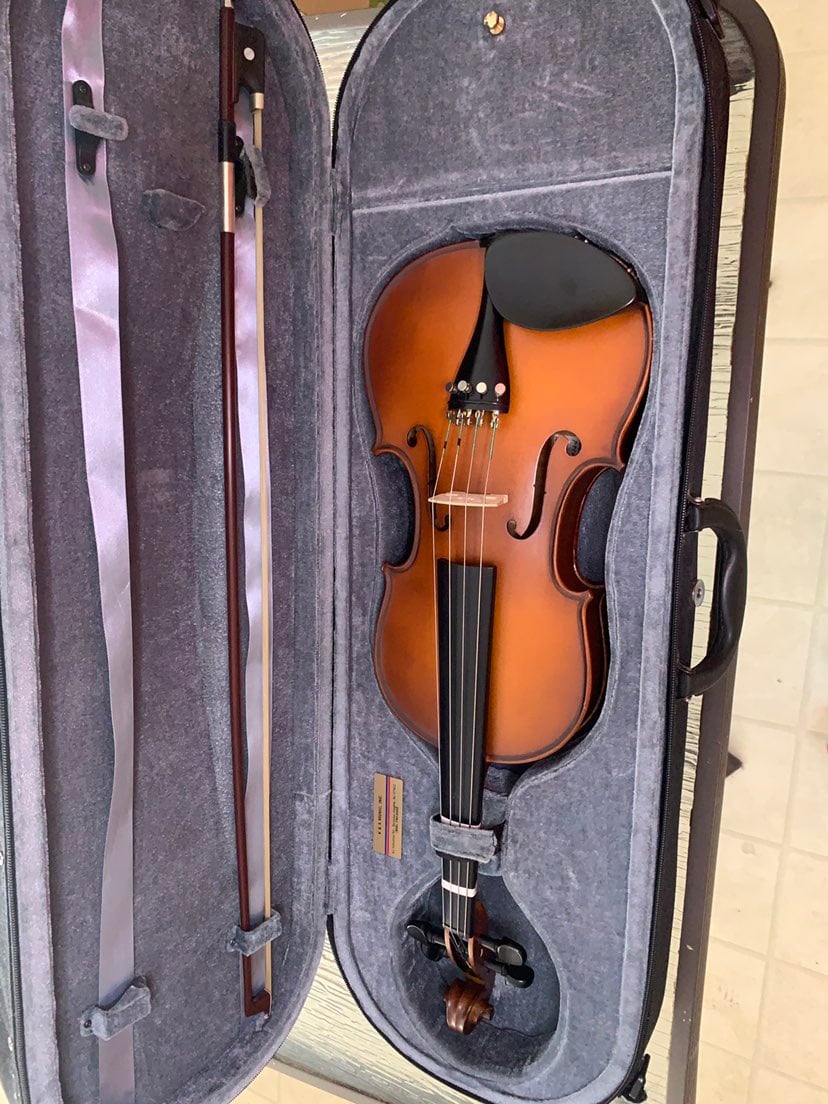 Pre-used Viola