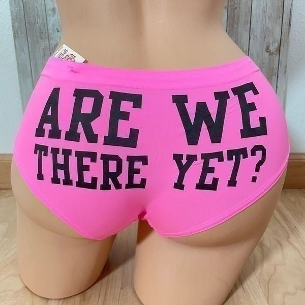 NWT VS Vintage Pink Extra Low Rise Graphic Are we there yet hipster panties