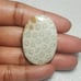 Fossil Coral Natural Gemstone Cabochon
