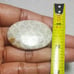 Fossil Coral Natural Gemstone Cabochon