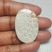 Fossil Coral Natural Gemstone Cabochon