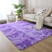 Fluffy Modern Area Rugs for Living Room Bedroom, 4x6 ft Plush High Pile Purple