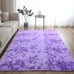 Fluffy Modern Area Rugs for Living Room Bedroom, 4x6 ft Plush High Pile Purple