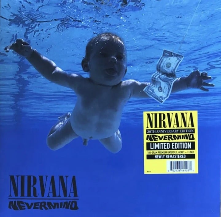 04▢NIRVANA NEVERMIND 30th IY0507-6 813z6hJiN3L._UF1000,1000_QL80_.jpg