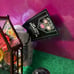Flowers wallflower bundle