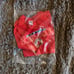 Boston Red Sox merch bundle
