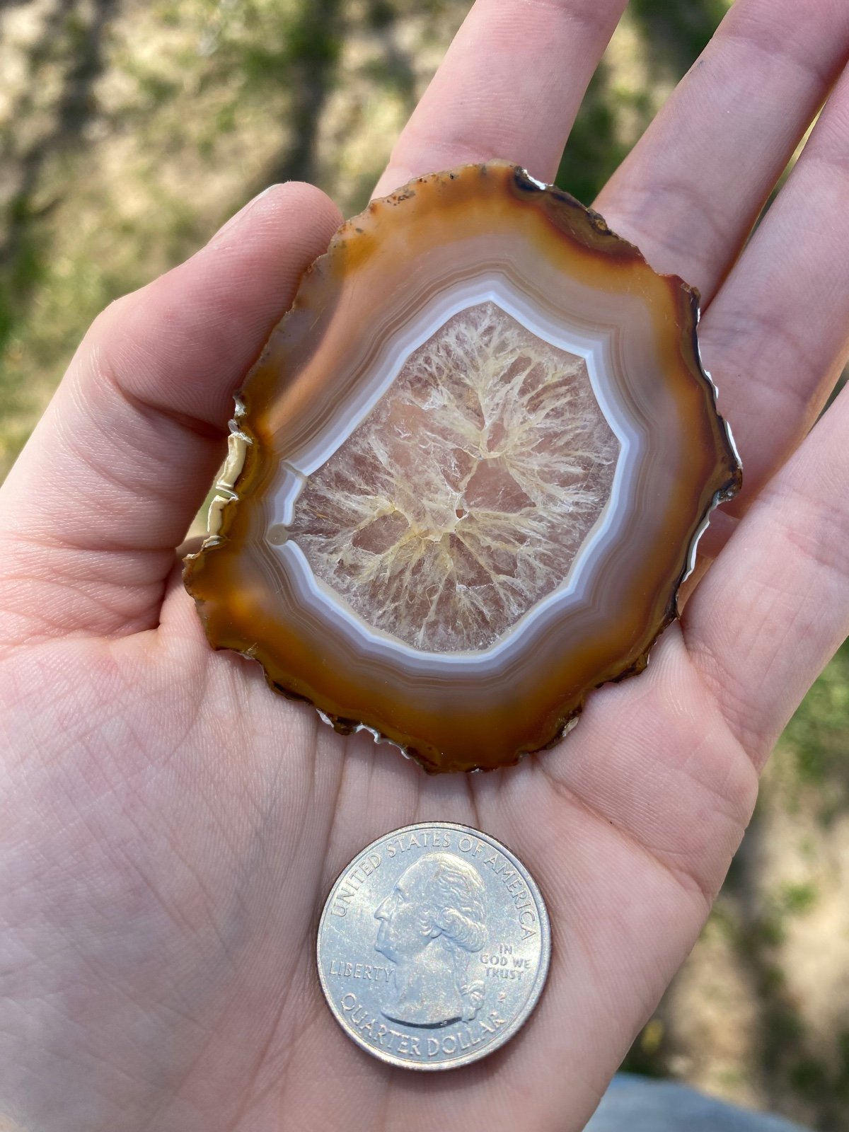 Iris agate slice