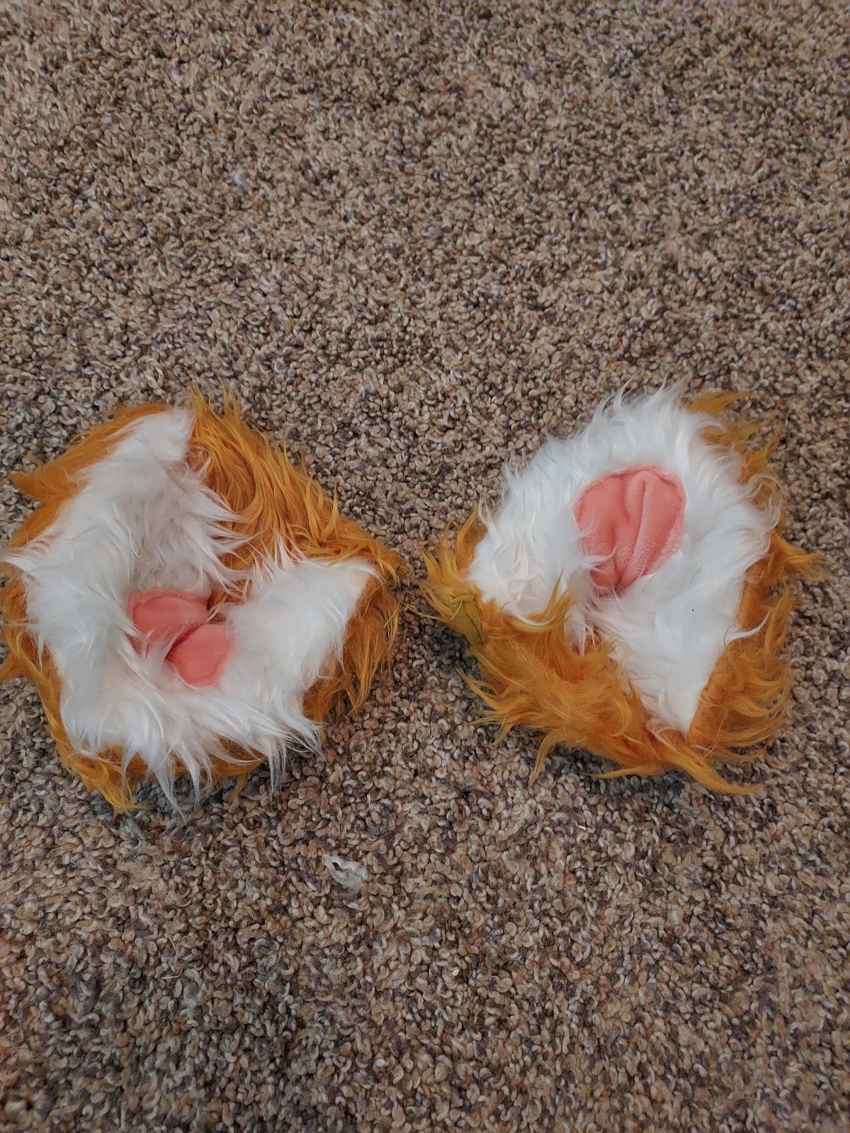 Cosplay wig and accessories