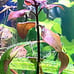 Live Aquarium Plants Bundle~Beginner's Plant Combo~7 Plants