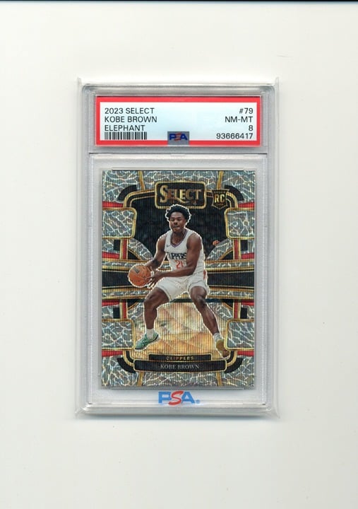 2023-24 Panini Select #79 Kobe Brown RC Elephant SSP PSA 8 Pop 1 - 1 Higher
