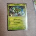 Pokemon Ogerpon ex Premium Collection