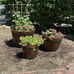NEW Set of 3 Wood Barrel Garden Planters, Bucket Planters with Drainage Holes