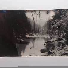 William M. McCarthy Photograph Collectio