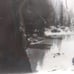 William M. McCarthy Photograph Collectio
