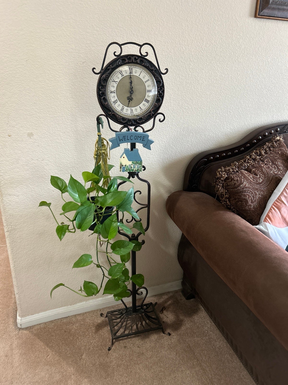 Golden pothos 3 rooted in 6” pot