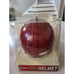 Ricky Ervins Autographed/Signed Mini Helmet JSA COA USC Trojans C