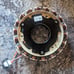 Whirlpool Washer Stator and Clutch