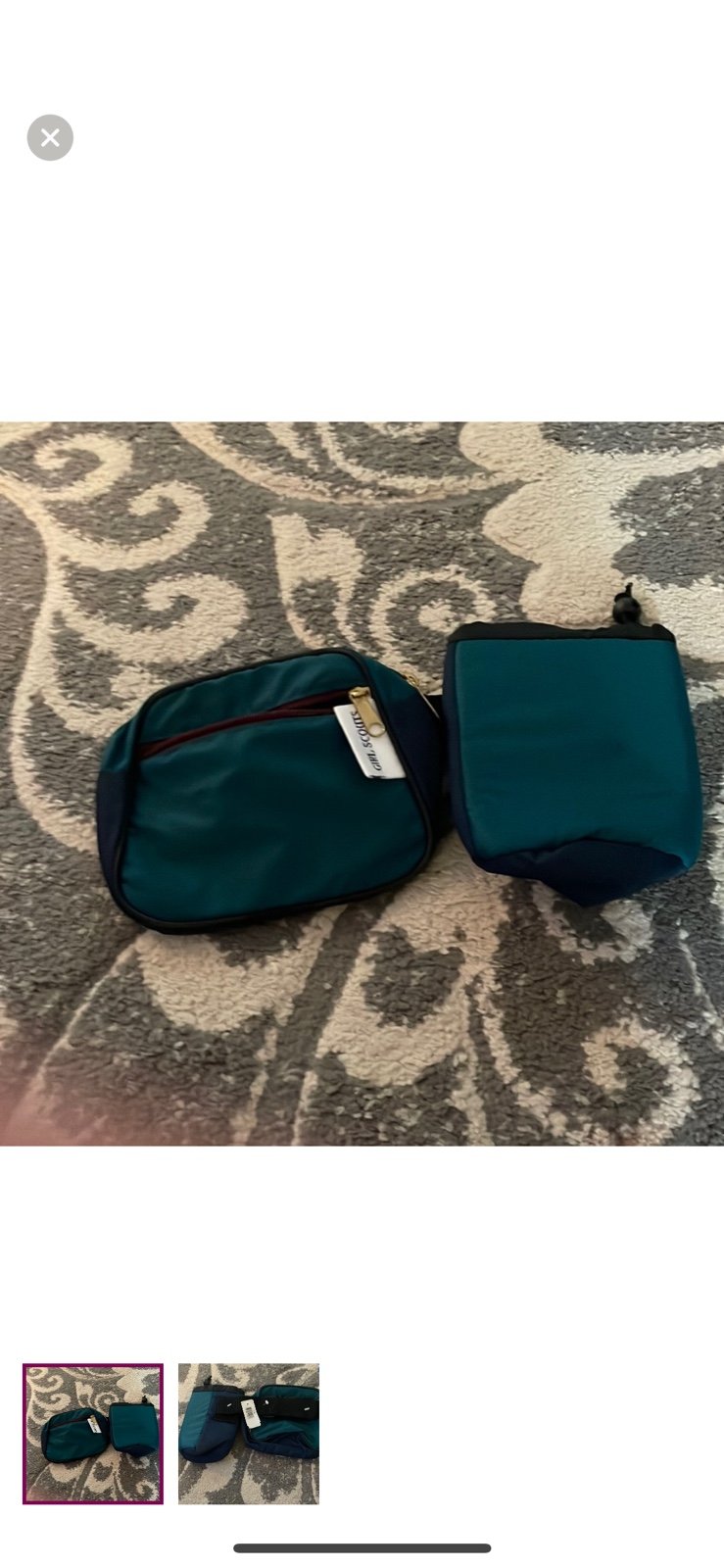 Fanny. Pack with a water bottle holder, Girl Scouts vintage.