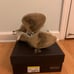 Stunning badgley mischka shoes 8.5