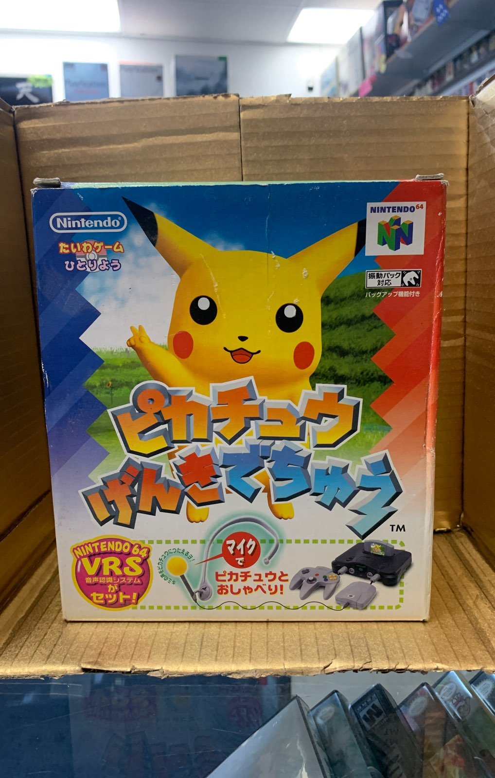 CIB Hey You Pikachu W/ microphone japane