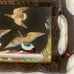 vintage bird design Glass Wood Decor Mexico 22”x 11”x 1 3/4”