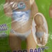 Boo boo baby costume