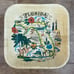 Mid Century Modern Florida bowl souvenir bamboo kitsch multicolor