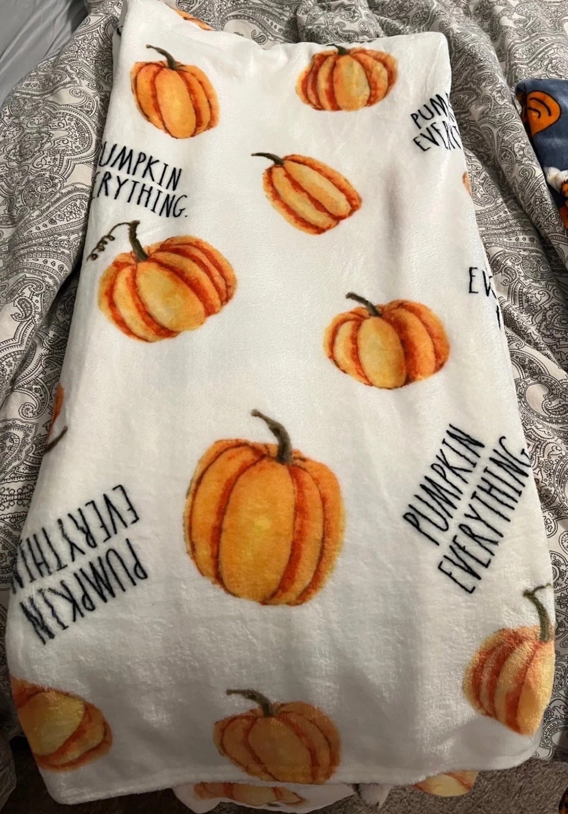 Rae Dunn The Fly Blankets Mercari