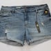 KUT FROM THE KLOTH KATY BOYFRIEND SHORTS 18W