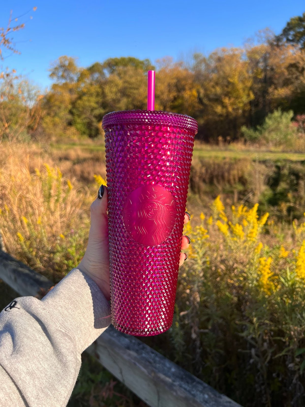 Starbucks Mexico Berry Studded 2021