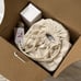 Canopy Portable Humidifier - Brand New in Box - Moonstruck