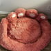 Cozy and Comfy Pet Dog Bed - All Seasons Paw Shape Warm Dog Bed Cushion for pet