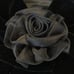 【Brand New】Velvet Shawl AIMER Black Formal Party