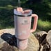 NEW Stanley Quencher H2.0 40oz Tumbler PEACH Tie Dye - LIMITED EDITION